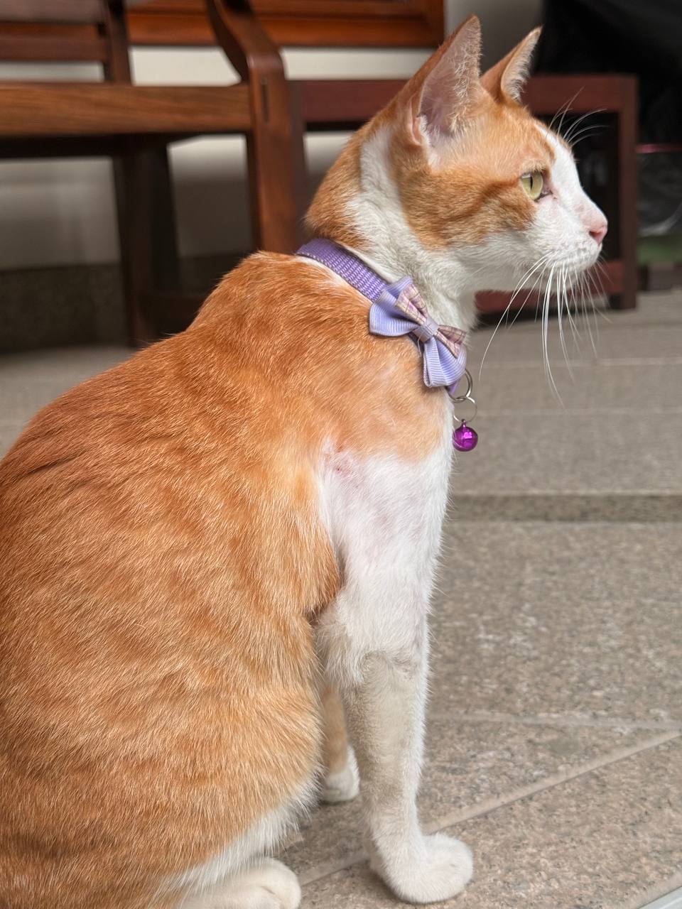 ส้ม (Som) — SD-00001